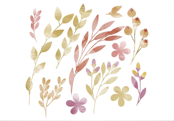 Watercolor Vector Download Transparent Png Image - Free Watercolor Elements Png (700x490), Png Download
