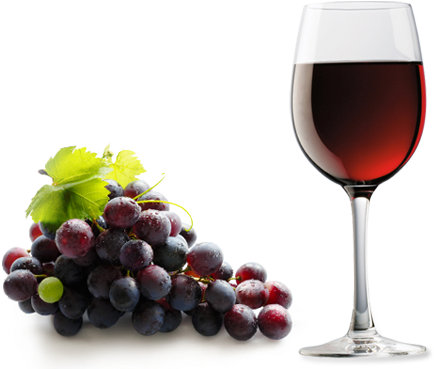 Major Wine Grape And Wine Flavors Picture Library Library - Glass Grapes Wine Png (448x369), Png Download