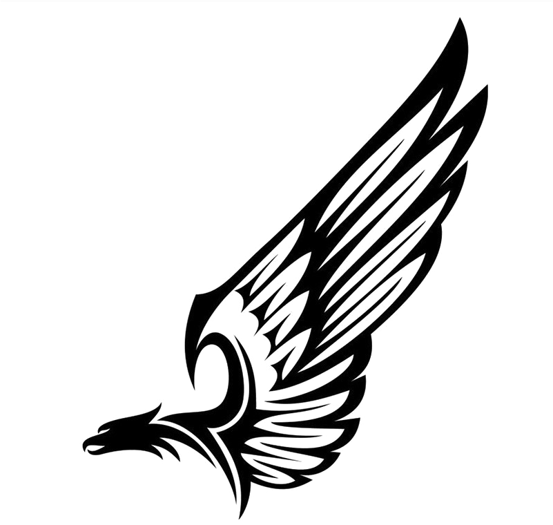 Half Wings Png Hd - Eagle Wings Vector Png (800x800), Png Download
