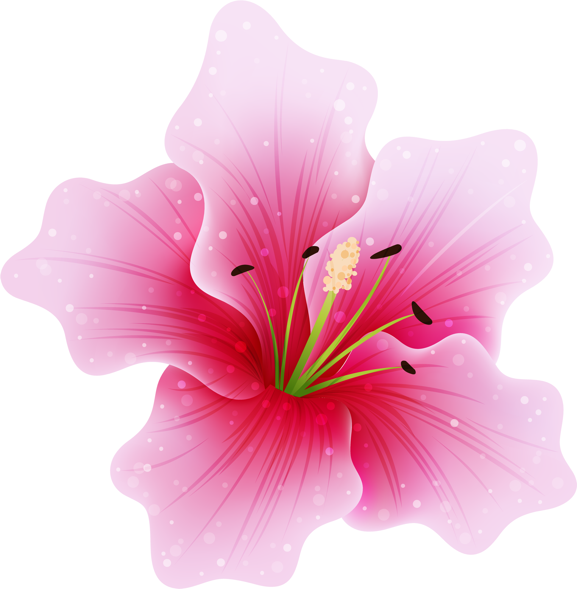 Pink Flower Png By Hanabell1 On Deviantart - Pink Flower Png (585x600), Png Download