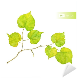 Vector Watercolor Leaf - 잎사귀 수채화 (400x400), Png Download