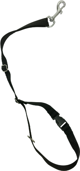 Thumbnail 1 - Png Dog With Rope (600x600), Png Download