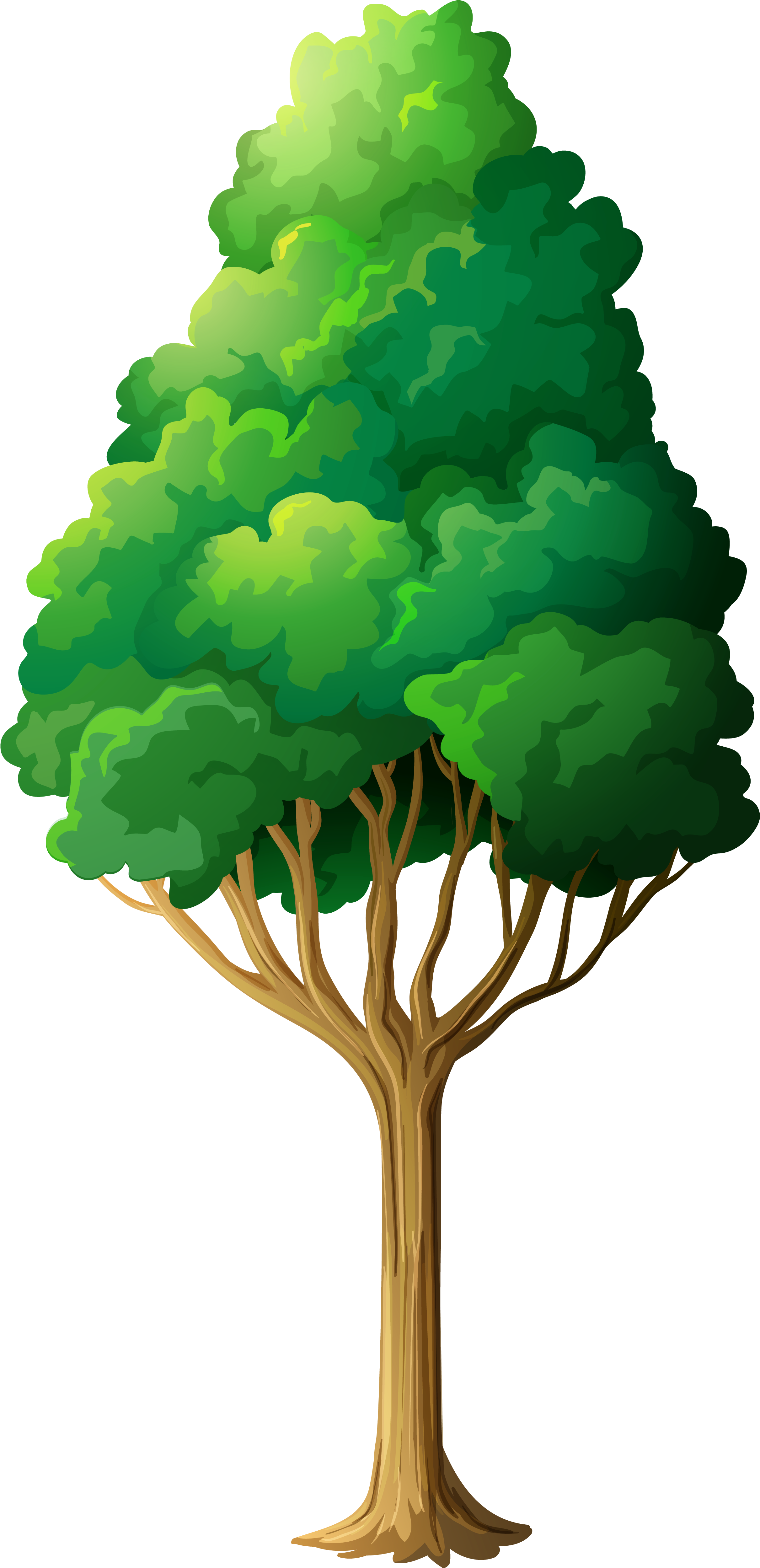 Clip Art Trees Png (2648x5072), Png Download