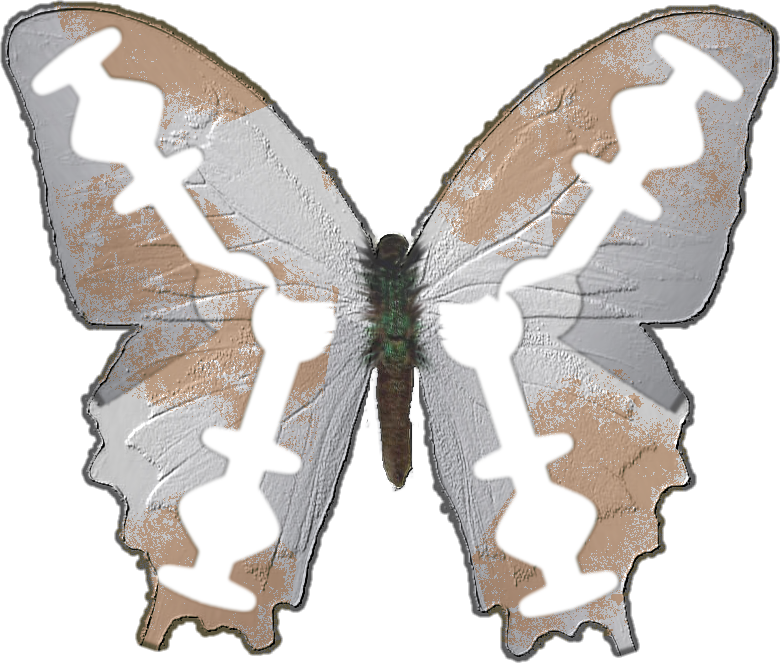 Razorblade Butterfly - Papilio Machaon (780x663), Png Download