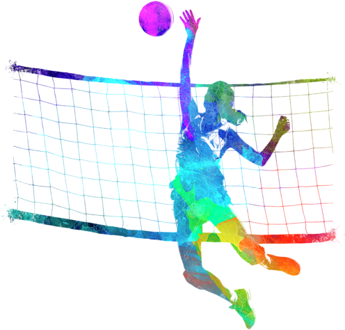 Bleed Area May Not Be Visible - Volleyball Tapestry (560x700), Png Download