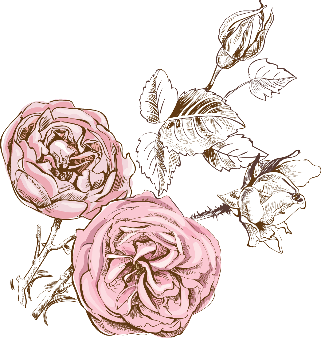 Svg Freeuse Stock Blackberry Drawing Watercolor - Qualitas Candles Beeswax Rose Scented Candle (1045x1098), Png Download
