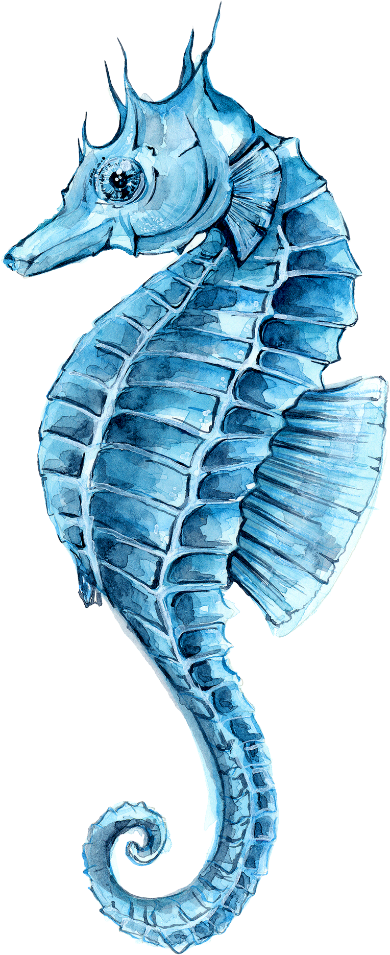 Drawing Watercolor Painting Seahorse Clip Art - Caballito De Mar Acuarela (2400x2400), Png Download