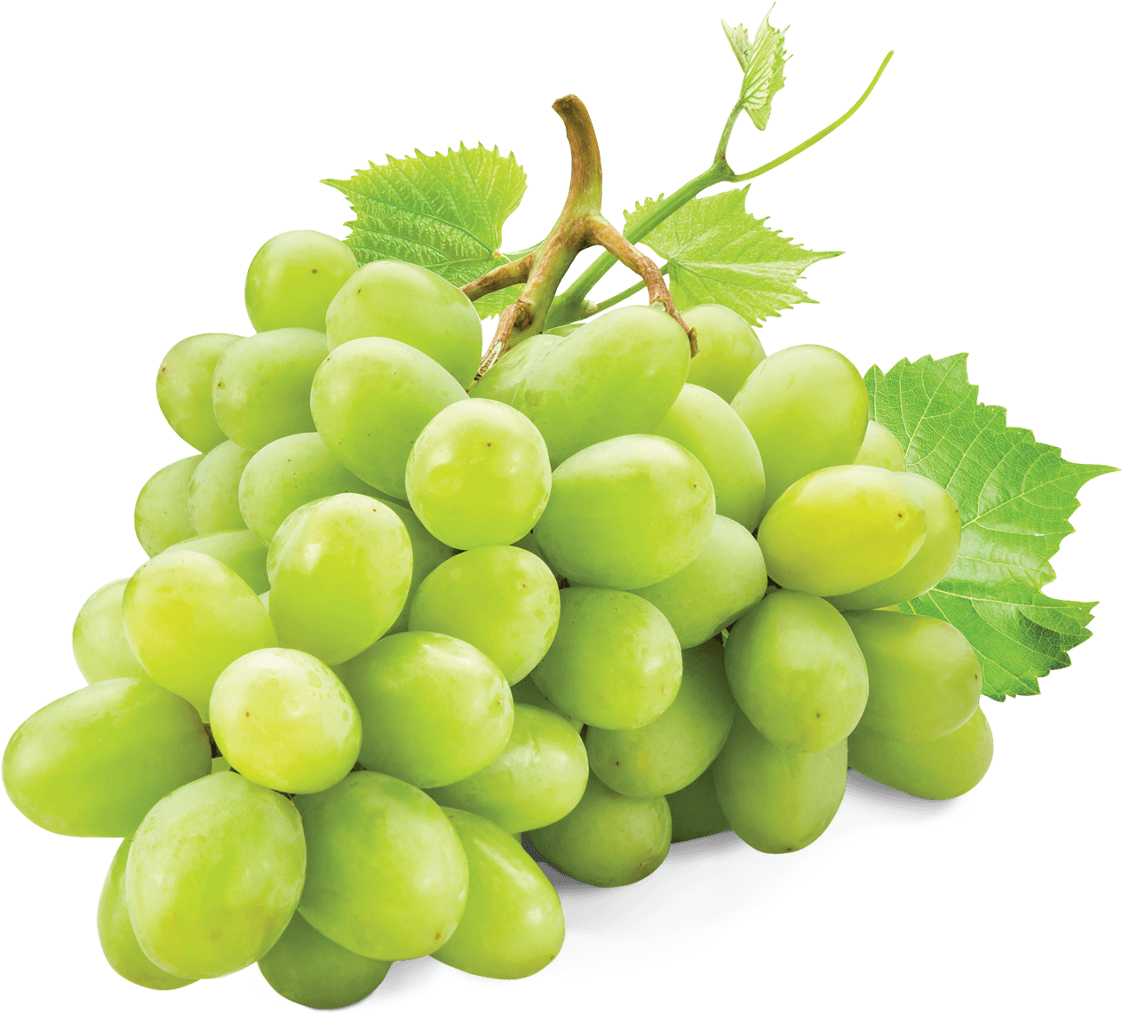 White Grape - White Grape Png (1500x1500), Png Download