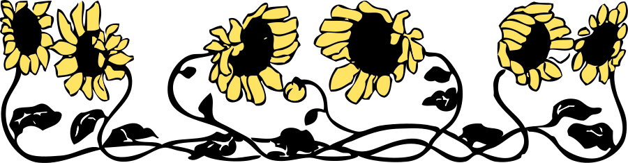 Flower Border Png (900x235), Png Download
