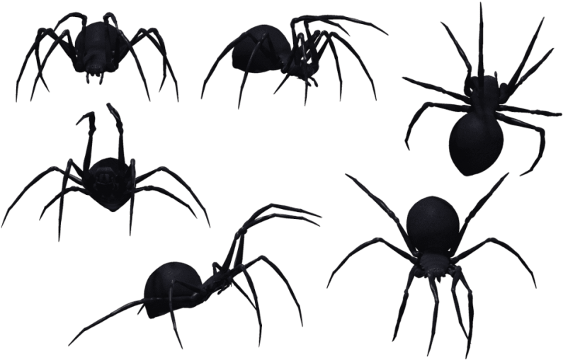 Free Png Spider Png Images Transparent - Spiders Png (850x531), Png Download