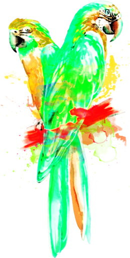 It's Good To Know - Nassau (300x513), Png Download