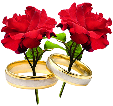 Two Red Roses And Wedding Rings - Wedding Ring With Flowers Png (384x358), Png Download