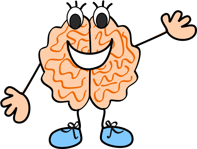 Brains Clipart For Kid Png - Brain Cartoon Transparent Clip Art (804x611), Png Download