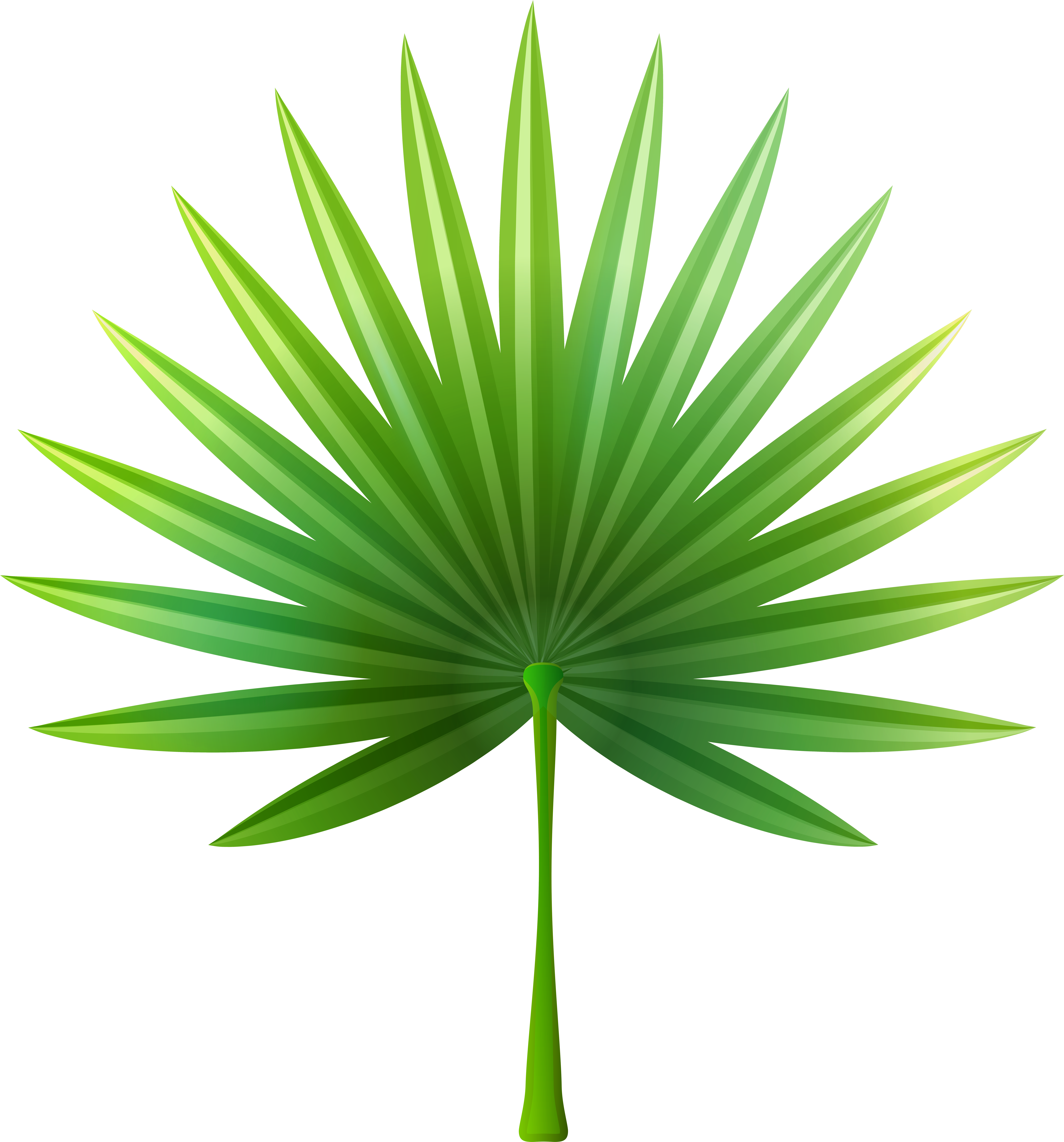 Exotic Clipart For Kid (7503x8000), Png Download