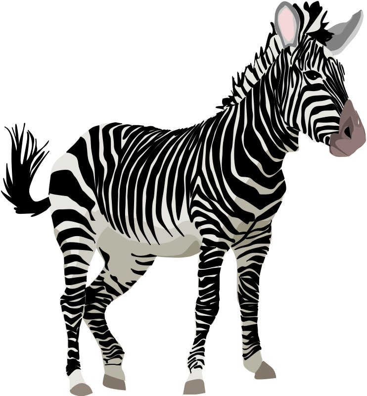 Watercolor Animals Clipart Zebra Rhino Snake - Zebra Clipart (742x800), Png Download
