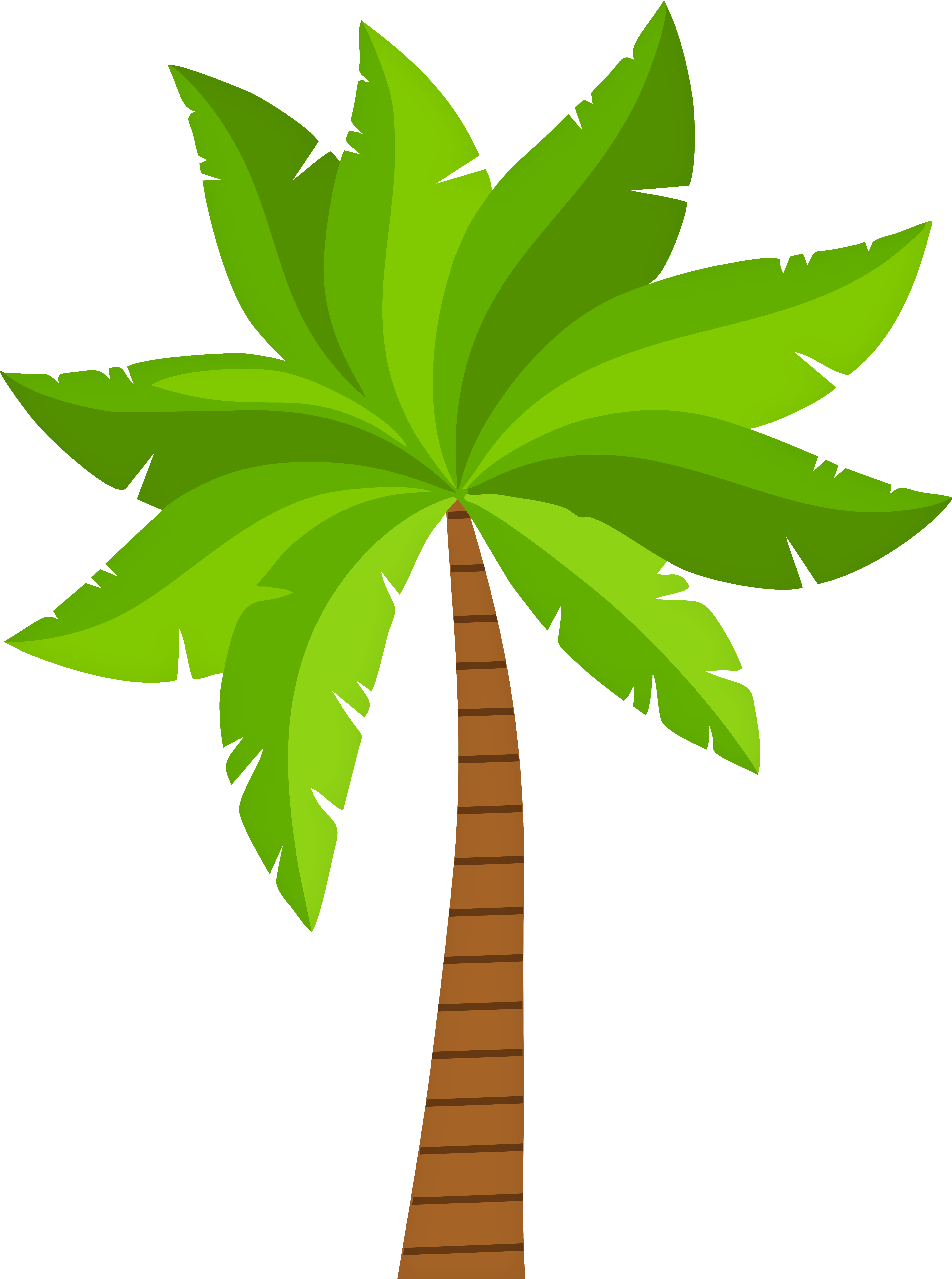 Palm Png Clipart - Clip Art (5978x8000), Png Download