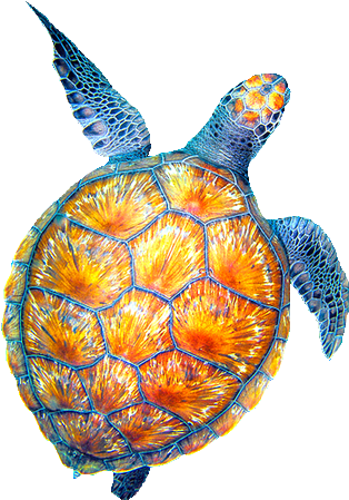 Sea Clipart Tumblr Transparent - Drawing (500x750), Png Download
