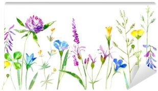 Floral Border Of A Wild Flowers And Herbs On A White - White Background Grass Flower (400x400), Png Download