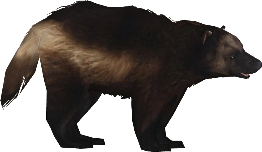 Clip Athamus Zt Download Library Wiki Fandom Powered - Wolverine (894x894), Png Download