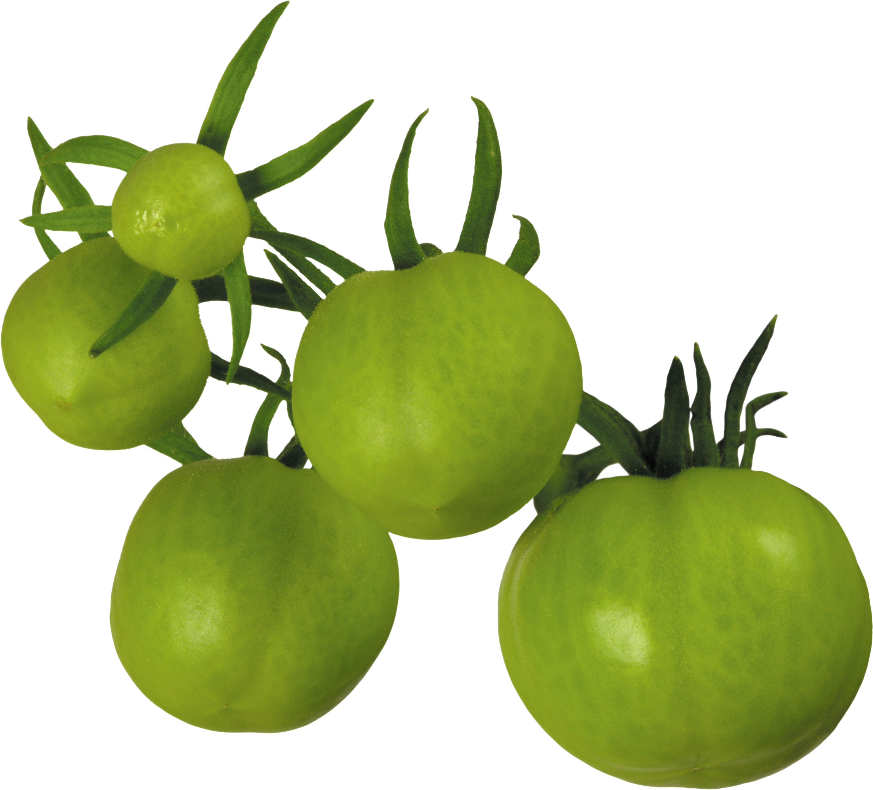 Tomato Png - Green Tomatoes Clipart Free (2921x2643), Png Download