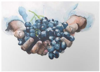 Grapes In Hands Watercolor Painting Illustration Isolated - Grapes Hands (400x400), Png Download
