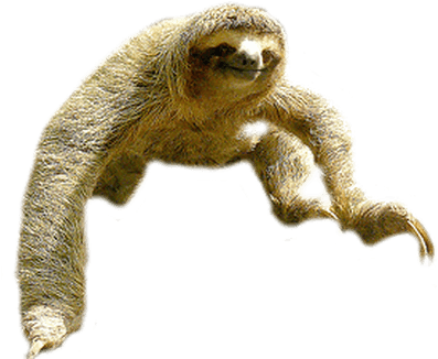 Sloth Jump - Perezoso Png (400x400), Png Download