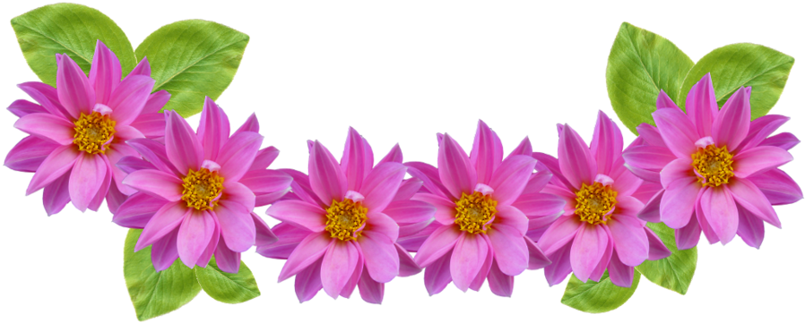 Collection Of Headband High Quality Free Snapchat Png - Flower Crown Png Transparent Free (1280x887), Png Download