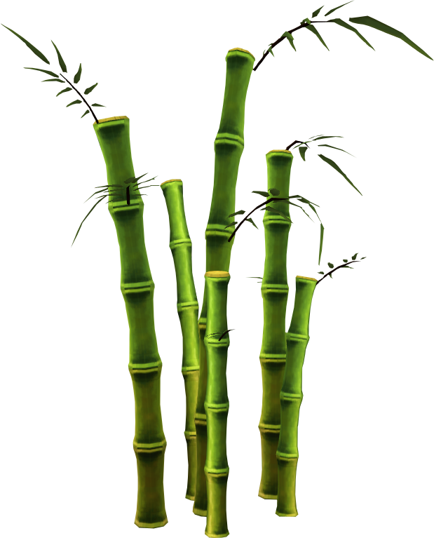 Bamboo Png - Free Bamboo Tree Png (619x767), Png Download
