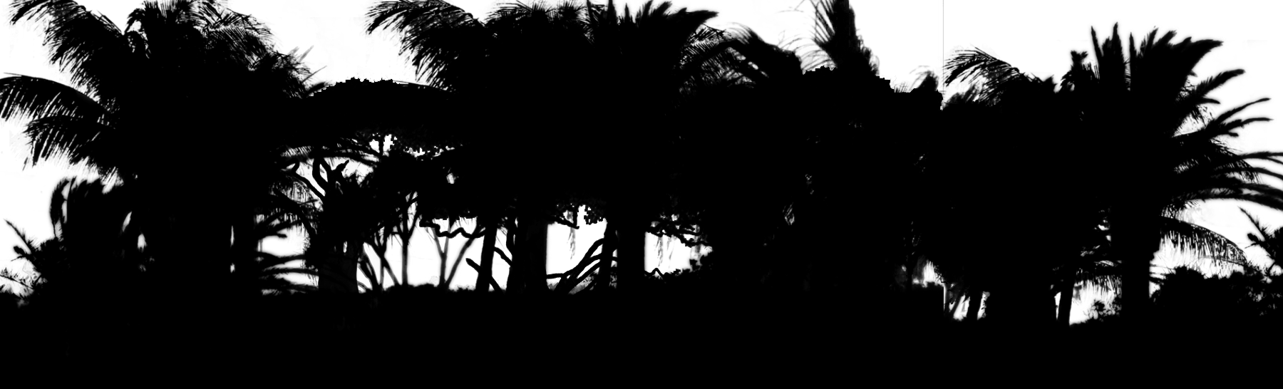 File - Trees - White And Black Trees Png (1800x546), Png Download