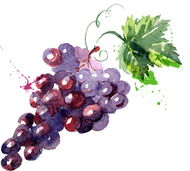 Grape Watercolor Painting Drawing Illustration (561x505), Png Download