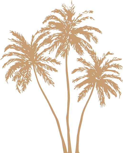 Gold Palm Leaves Png Image Free Stock - Gold Palm Tree Png (516x642), Png Download