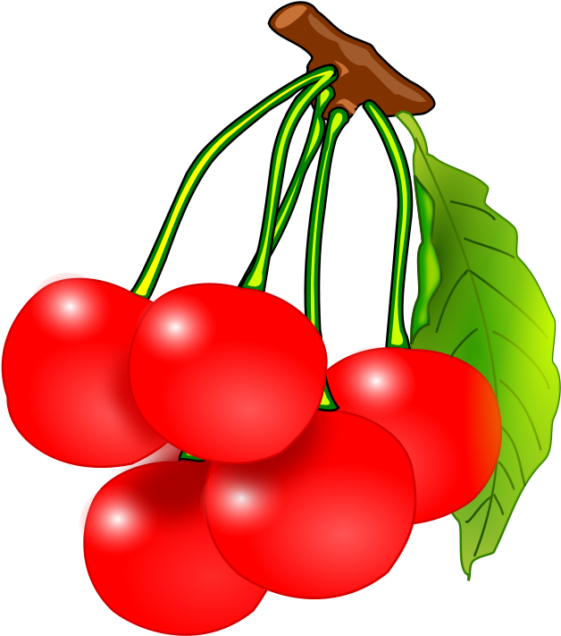 Fruit Clip Art - Red Cherries Clipart (800x800), Png Download