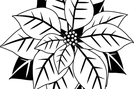 Download Wallpaper Poinsettia Clipart Border Full Wallpapers - Letterpressed Mistletoe Coasters - Hautepapier (450x300), Png Download