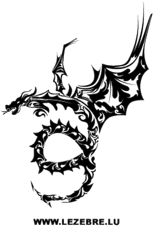 Tribal Dragon Design Decal - Tribal Graphics (800x800), Png Download