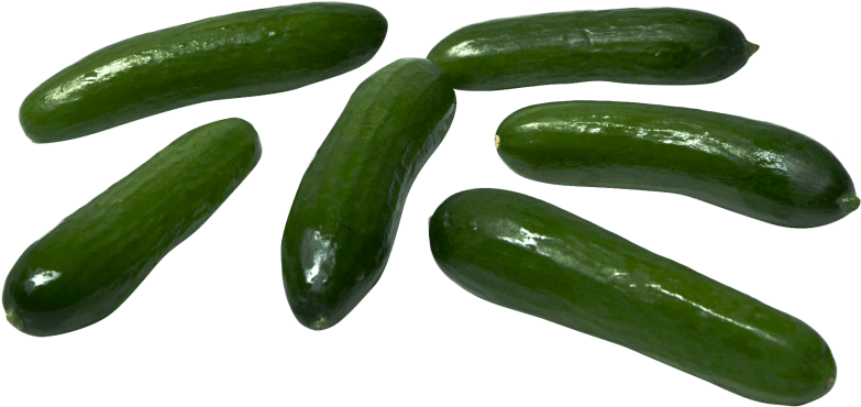 Download Cucumber Png Image - Cucumber (500x268), Png Download
