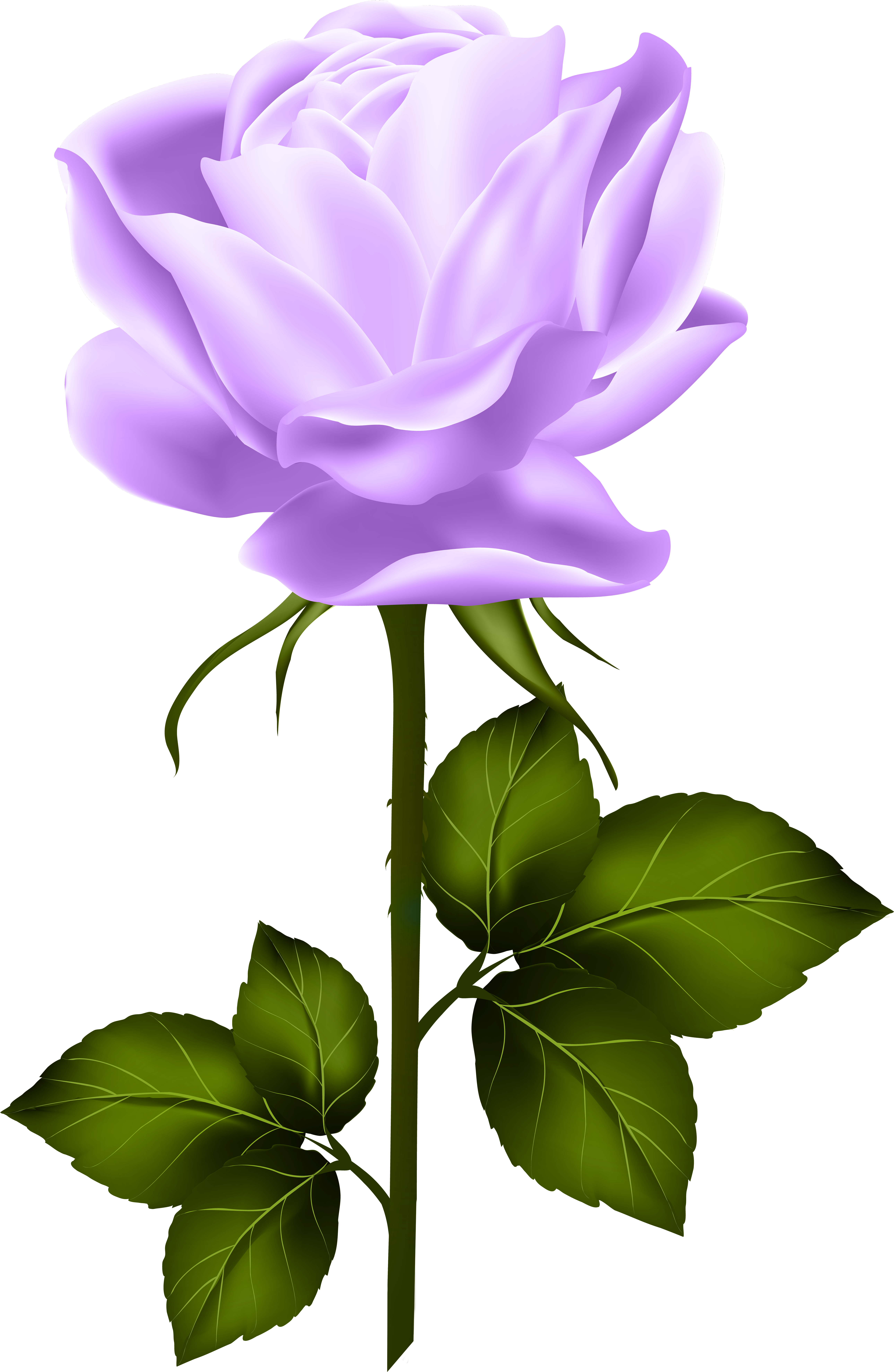 Shabby Chic Flowers, Hybrid Tea Roses, Single Rose, - Yellow Rose With Stem (392x600), Png Download