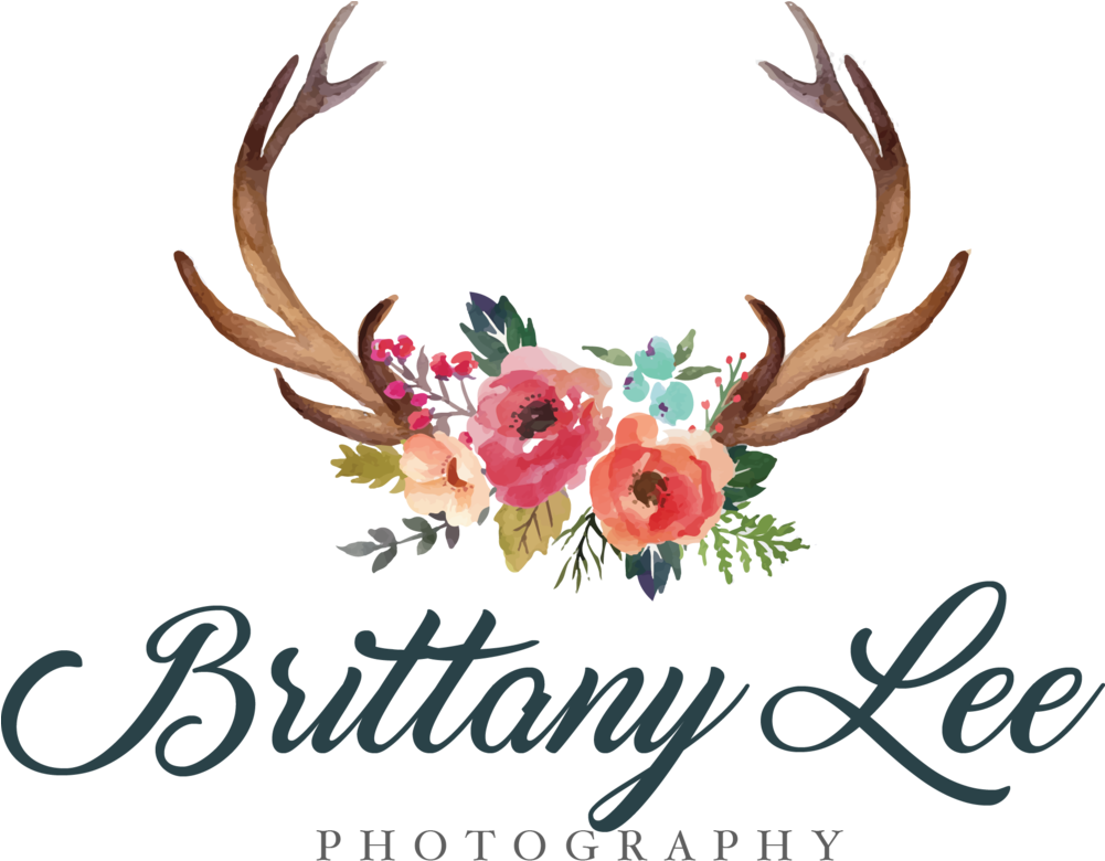 Graphic Transparent Antlers With Flowers Clipart - Antler With Flowers Clipart (1000x797), Png Download