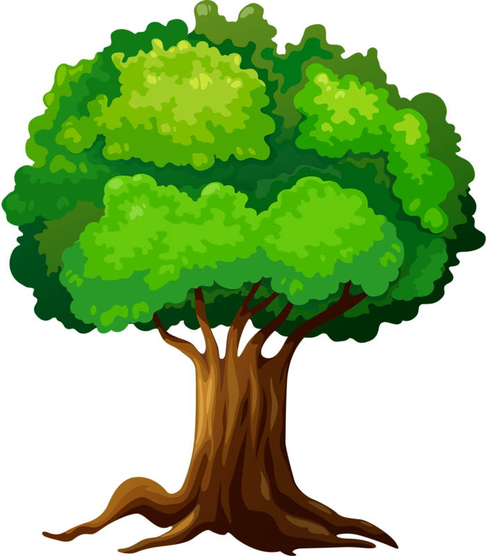 3 - Clipart ต้นไม้ (700x800), Png Download