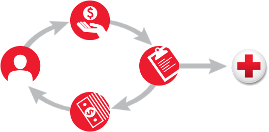 A Diagram That Explains How A Gift Annuity Works - American Red Cross (560x290), Png Download