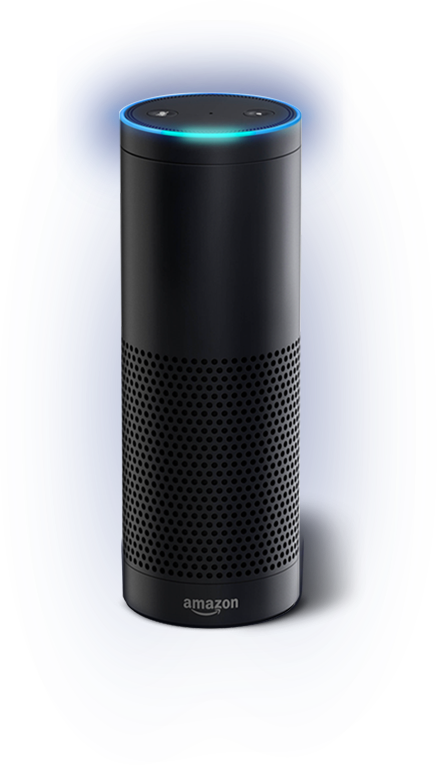 Alexa Inactive - Computer Speaker (437x765), Png Download