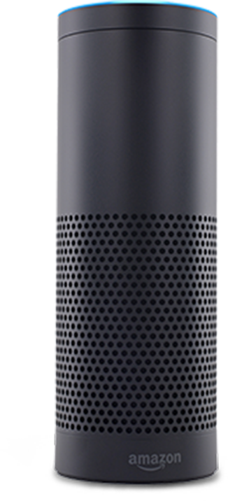 1enable Remote Access On Your Router Using The Nighthawk - Amazon Echo Dot 2016: Best User Manual To Transform (326x716), Png Download