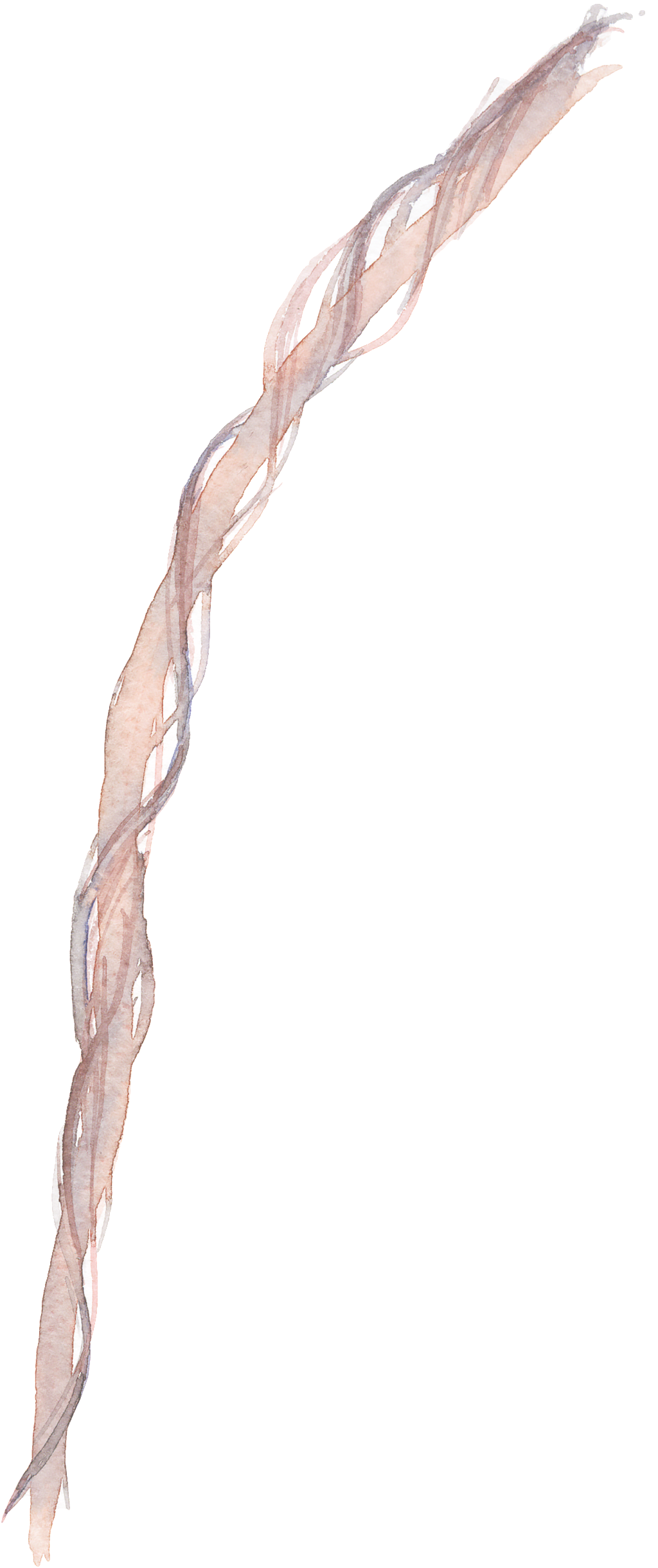 Ribbon Cartoon Transparent Material - Portable Network Graphics (1024x2440), Png Download