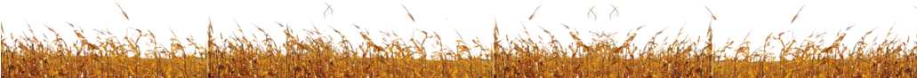 Each Puppet Includes A Puppet Master Sound System™ - Field (1030x270), Png Download