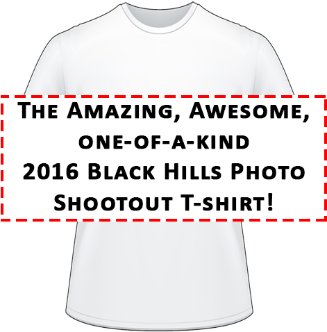 2016 Bhps T-shirt - Label (500x500), Png Download