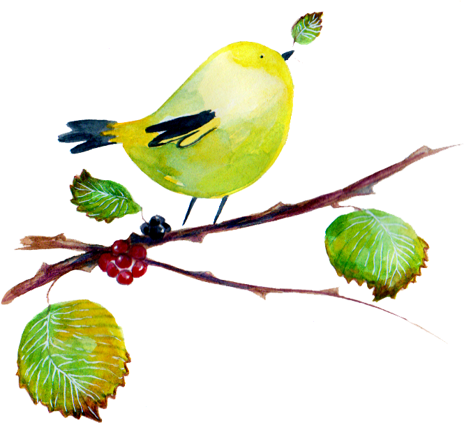 Verderon Trans - Twig (685x620), Png Download