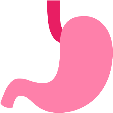 Stomach Png (500x500), Png Download