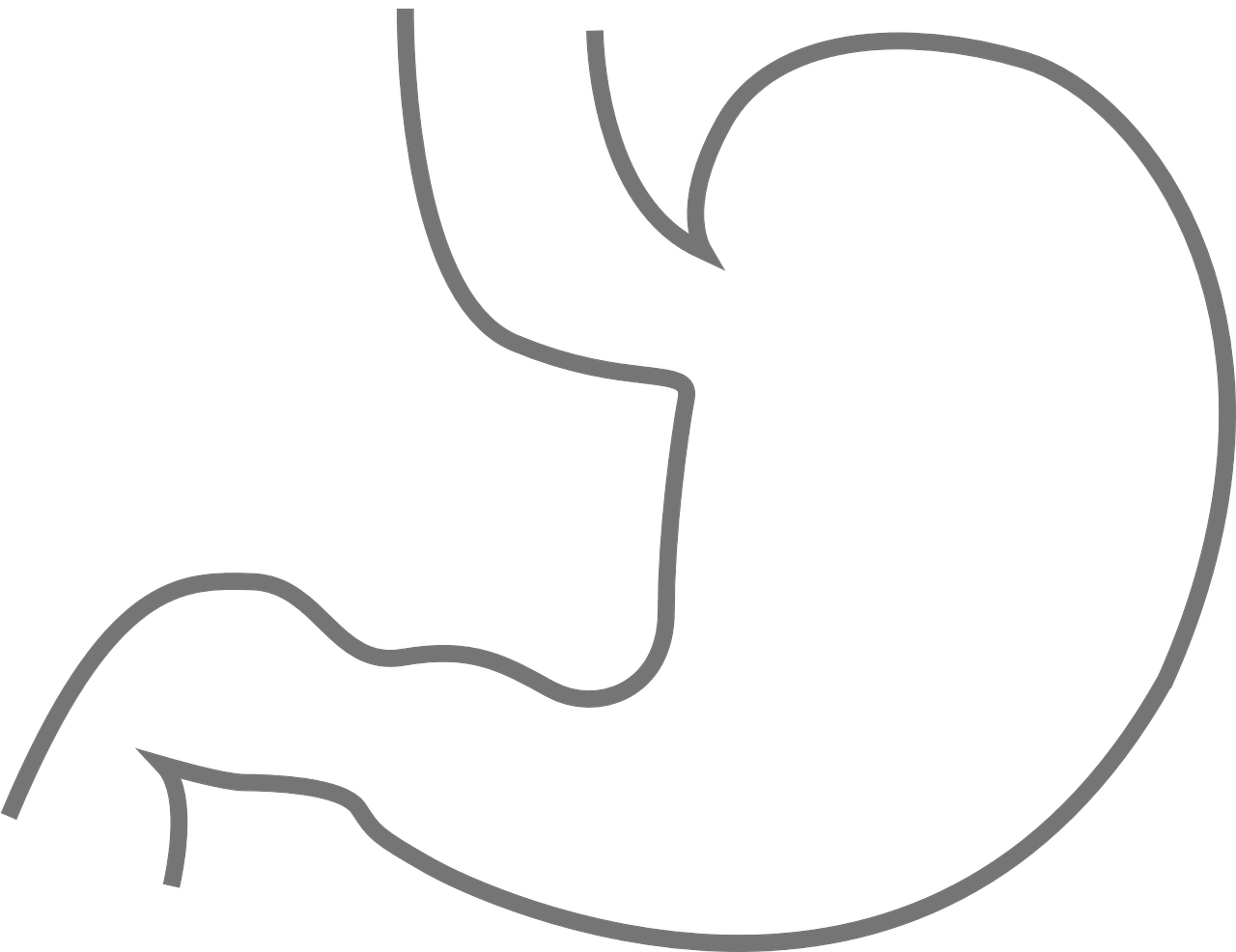 Stomach - Stomach Black And White (934x720), Png Download