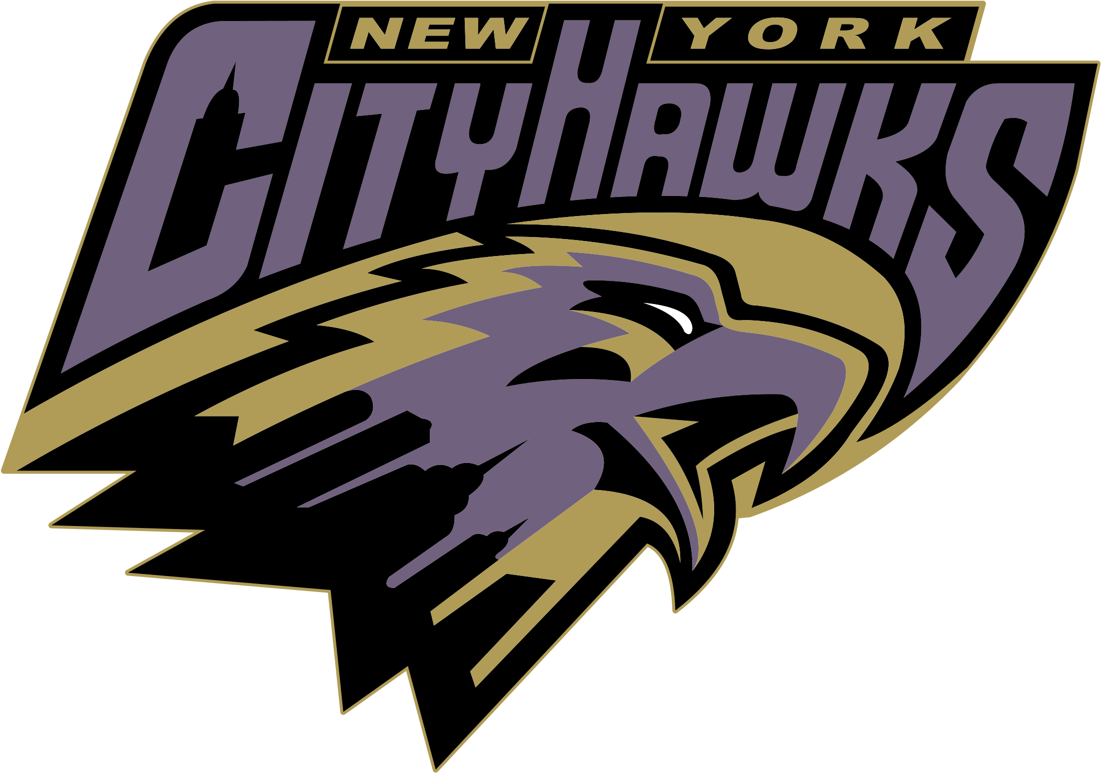 Download New York City Hawks Logo Png Transparent New York City Hawks