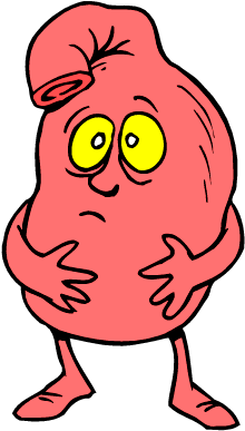 Svg Royalty Free Download Panda Free Images Stomachclipart - Stomach Cartoon (792x612), Png Download