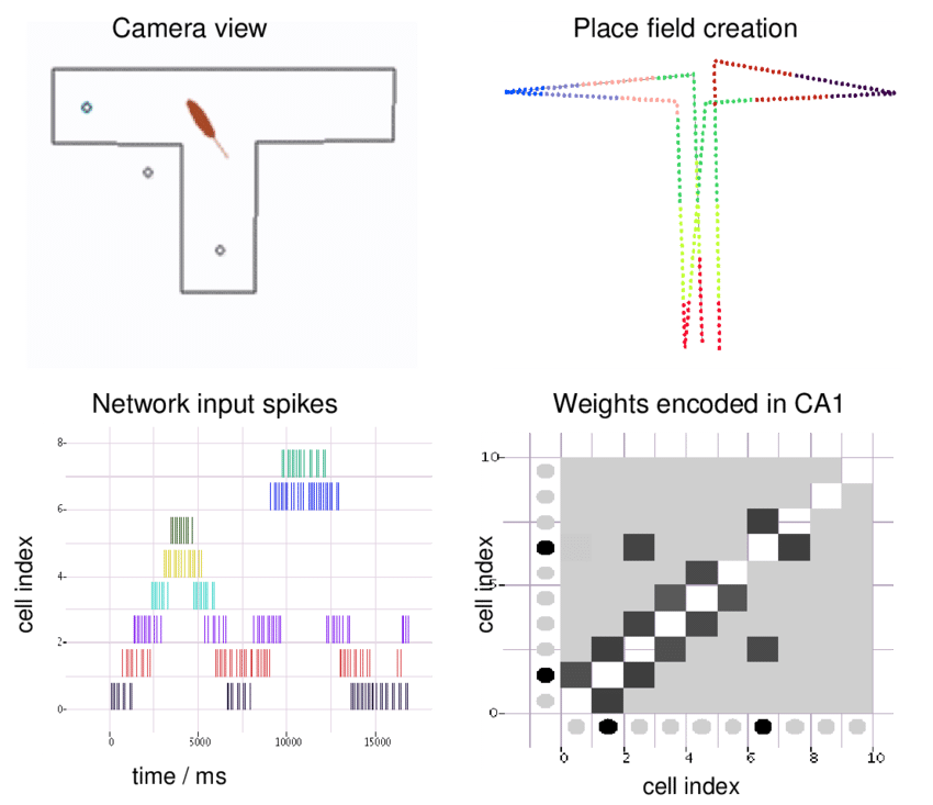 Illustration Of Visualization Features During The T-maze (850x733), Png Download
